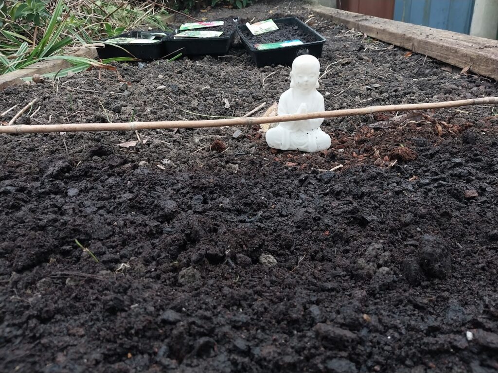 a white buddha statue overlooking the spinach seeds